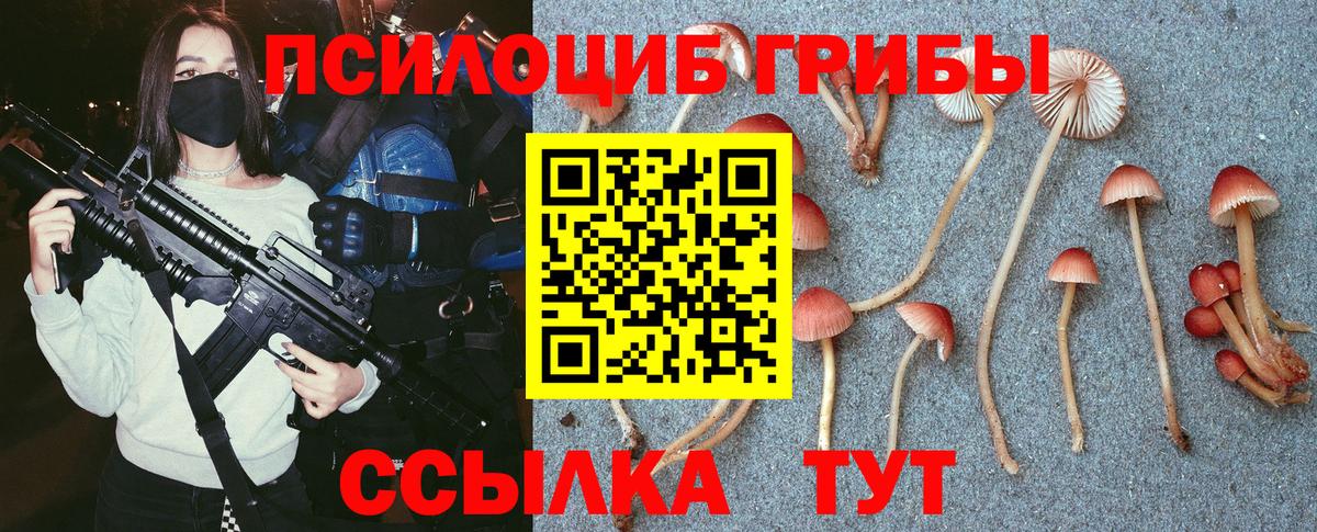 Железноводск  Галлюциногенные грибы MAGIC MUSHROOMS  Вход с VPN  Галлюциногенные грибы Magic Shrooms 